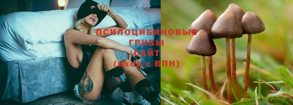 индика Сатка