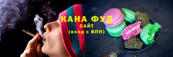 индика Сатка