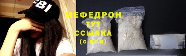 индика Сатка