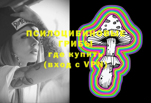 ГАЛЛЮЦИНОГЕННЫЕ ГРИБЫ Саяногорск