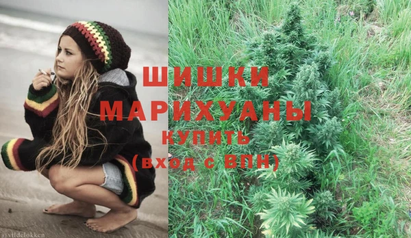 индика Сатка