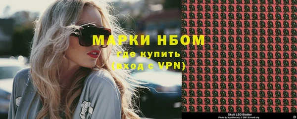 индика Сатка