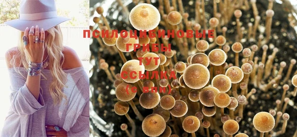 apvp Семикаракорск