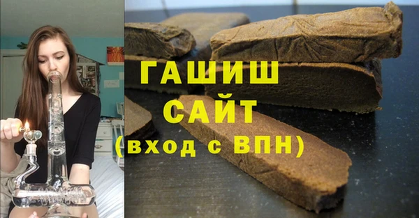 индика Сатка