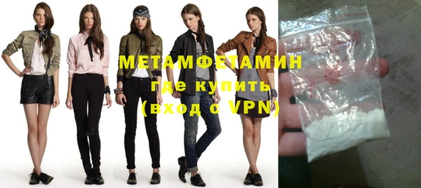 индика Сатка