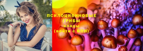 ГАЛЛЮЦИНОГЕННЫЕ ГРИБЫ Саяногорск