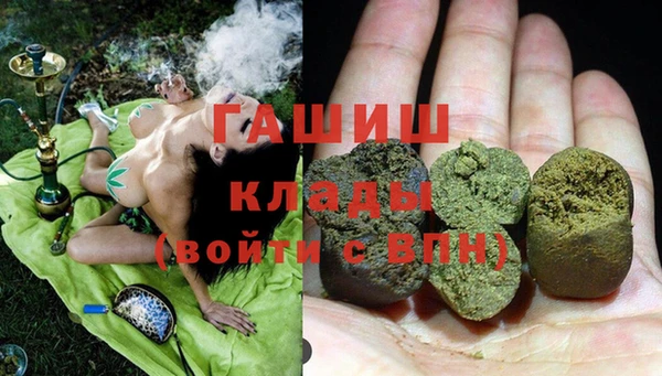 индика Сатка