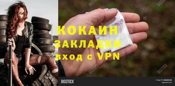 индика Сатка